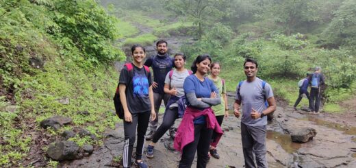 NaneGhat Trek through Jugle