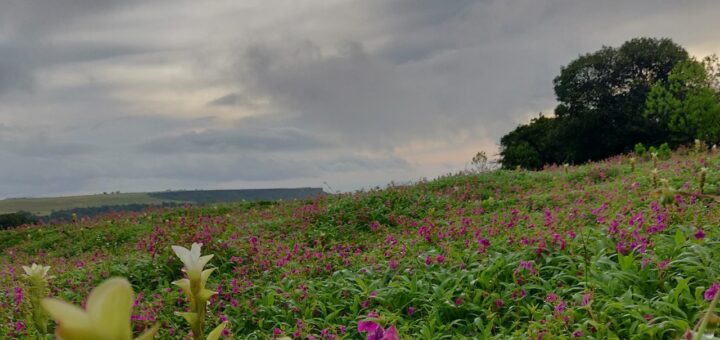 kas plateau